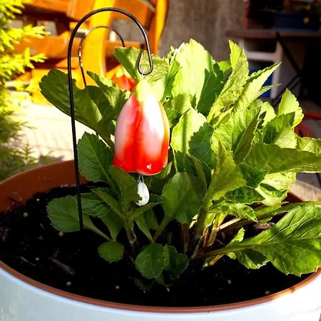 Auszeit Sembzin Apartment Klink